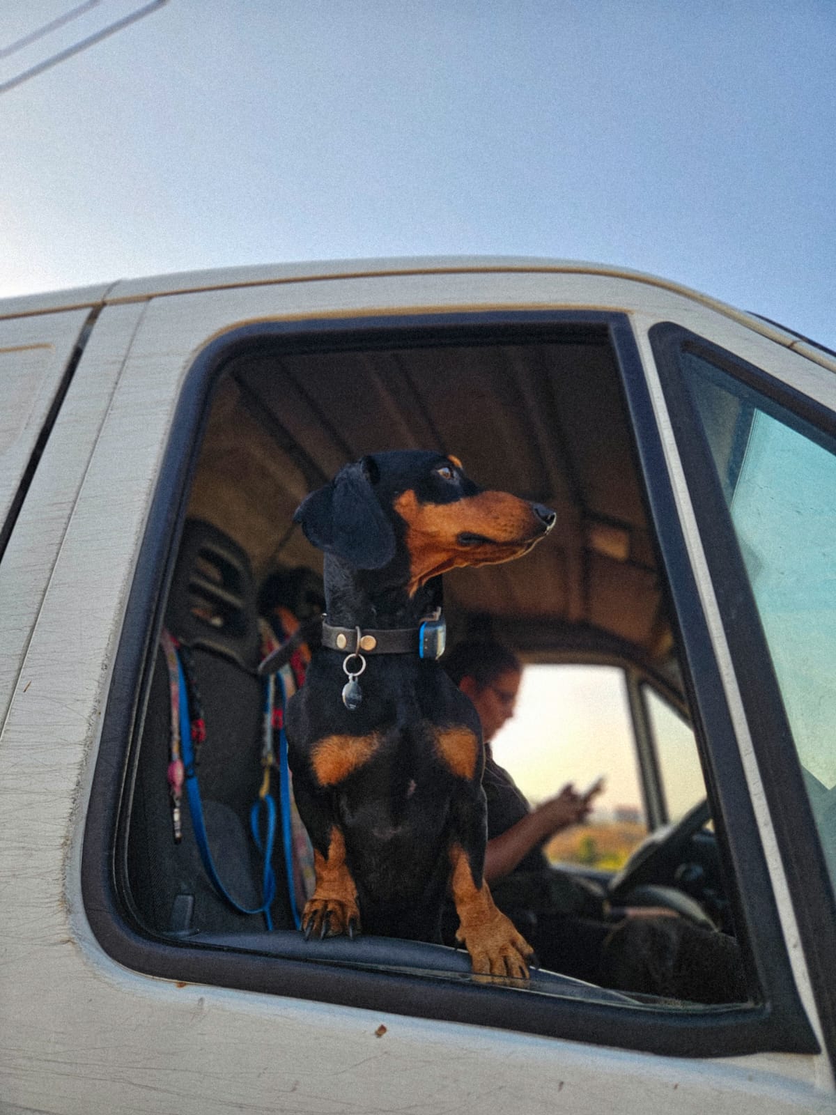 Transportes