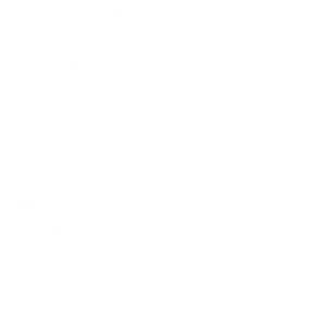 The Agency